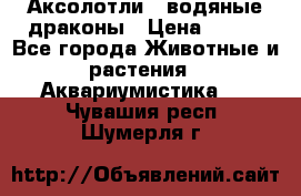 Аксолотли / водяные драконы › Цена ­ 500 - Все города Животные и растения » Аквариумистика   . Чувашия респ.,Шумерля г.